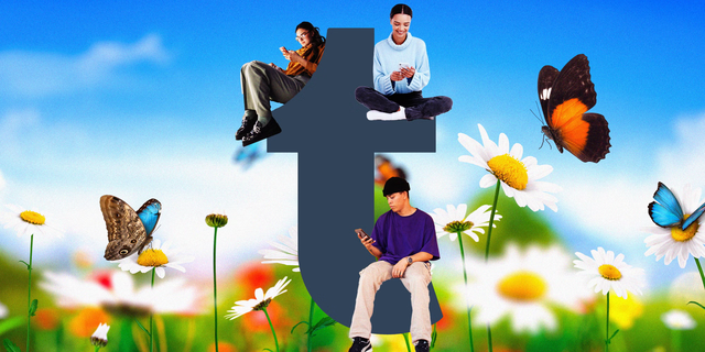 67eaf96169253ccddf9acfcb