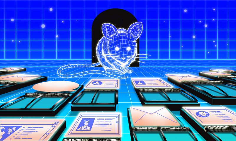 SCAMS CHEN BSPR-0.jpg