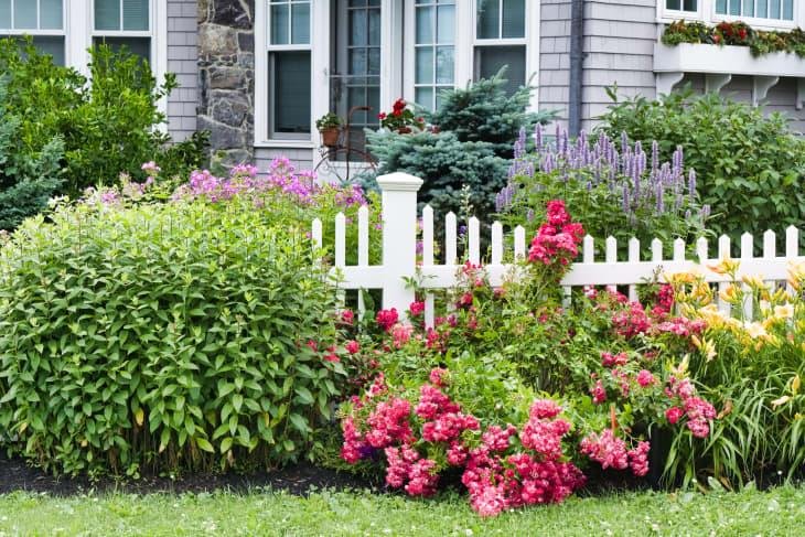 _image_upload_f_auto,q_auto:eco,c_fit,w_730,h_487_at%2Freal-estate%2Fcurb-appeal-flowers-garden