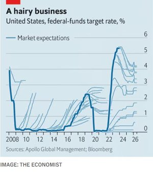 hairy chart_economist