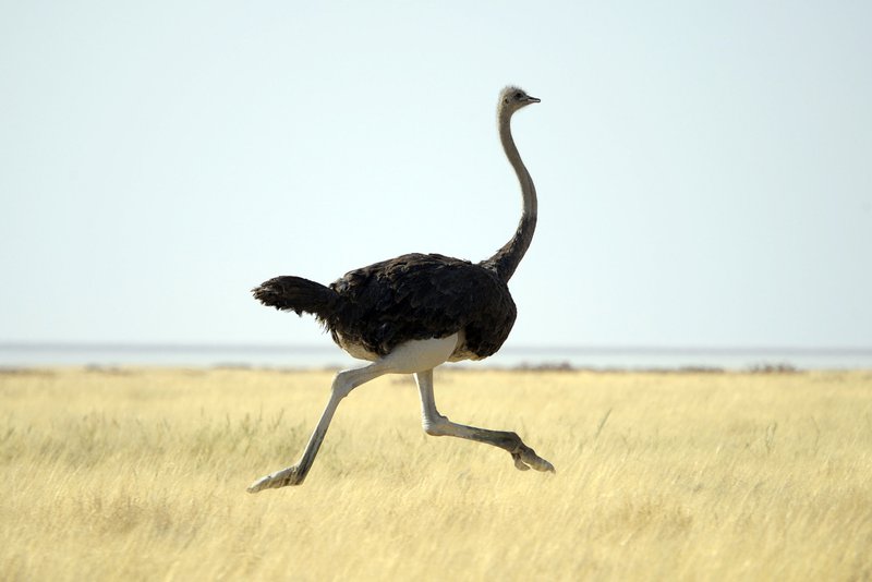 iStock-125916995.jpg
