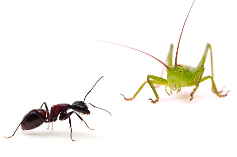 iStock-480994217.jpg