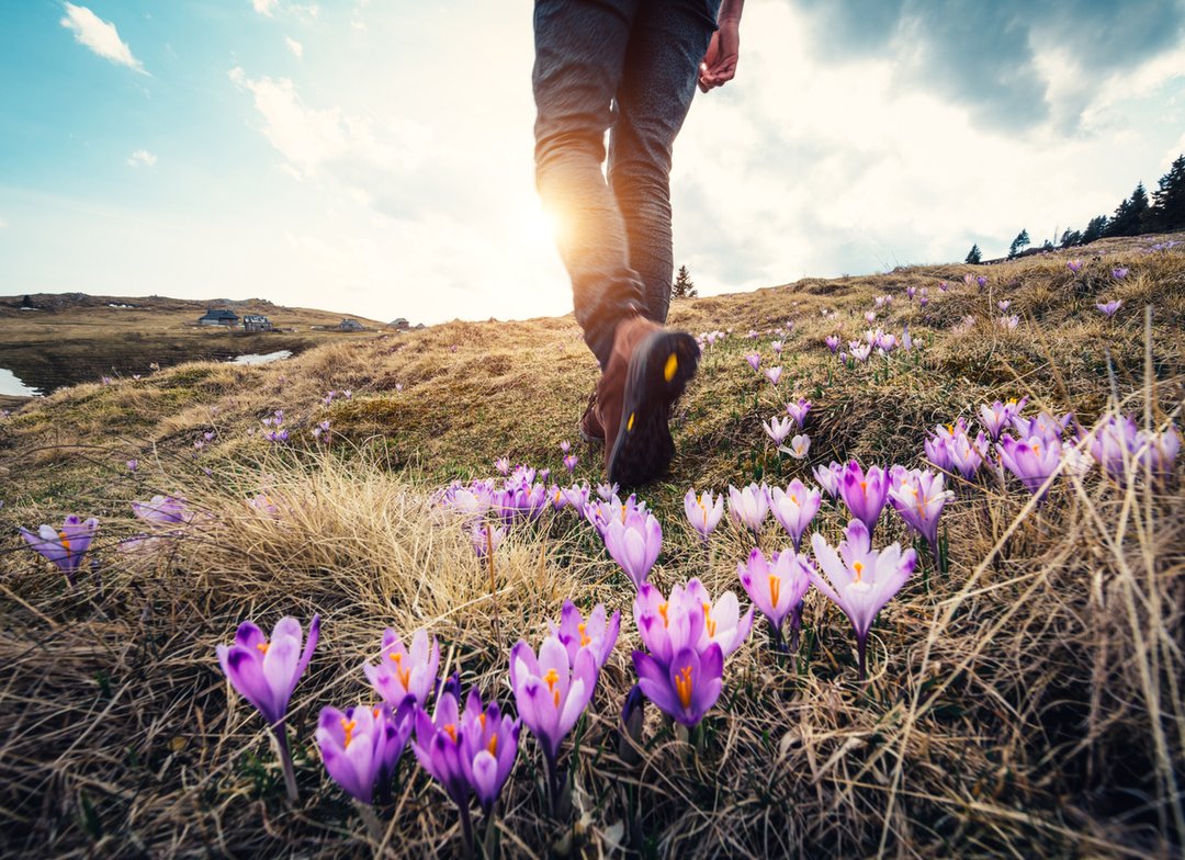 iStock-506478832