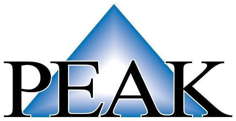 PEAK Financial Services, Inc. logo