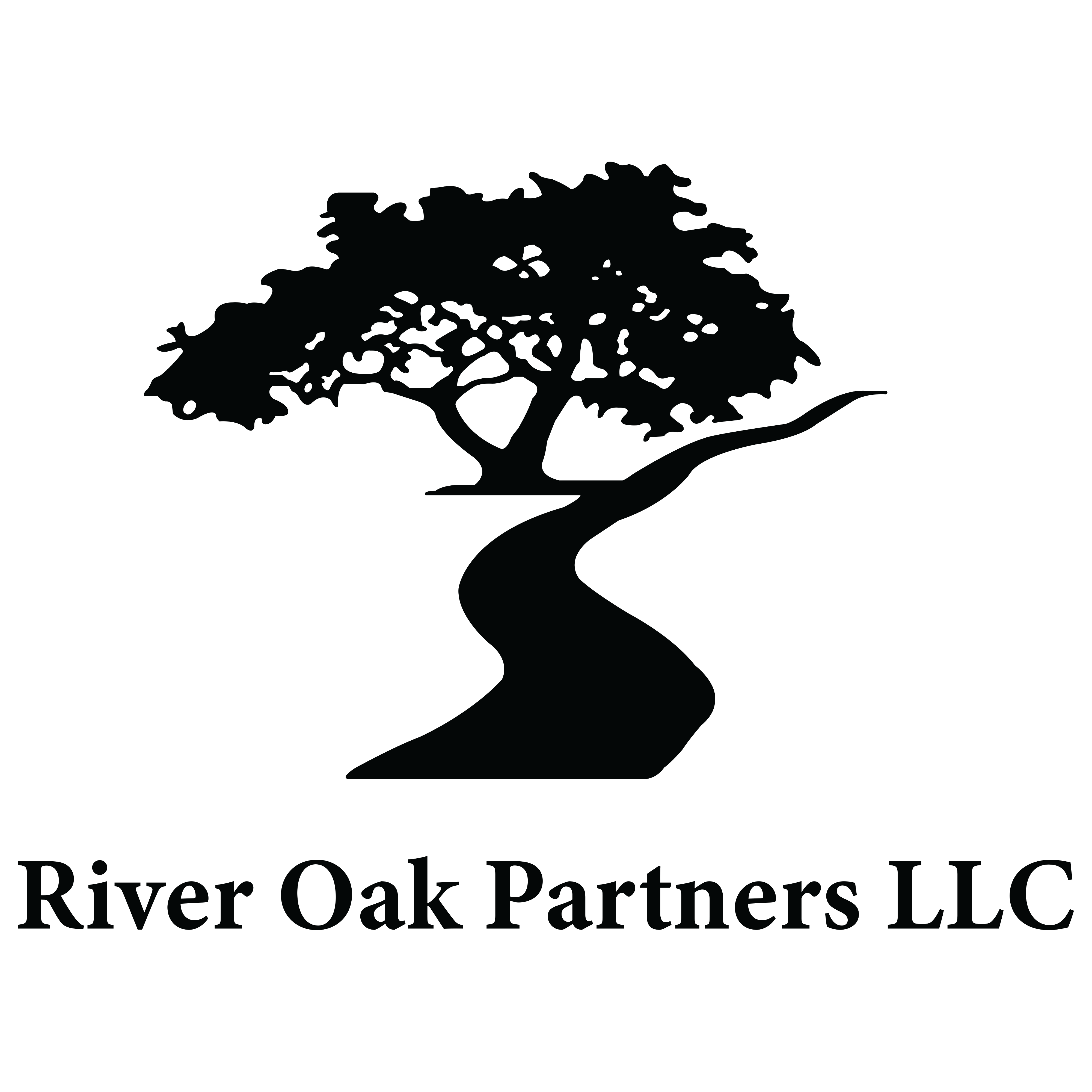 River Oak Partners, LLC logo